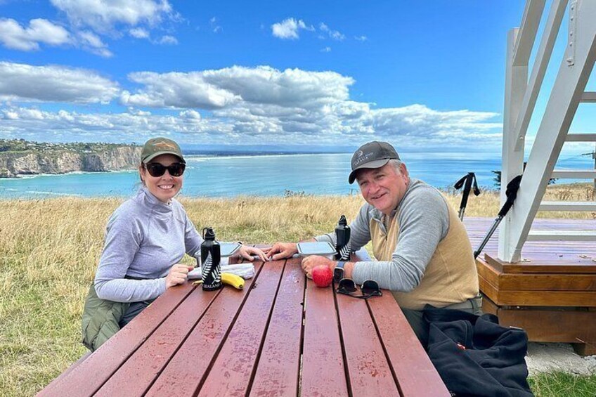 Private Full-Day Godley Head Guided Coastal Hike with Picnic 4