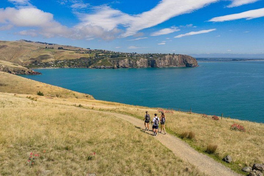Paesaggio costiero con un sentiero sterrato, campi erbosi e una distesa d'acqua. 2