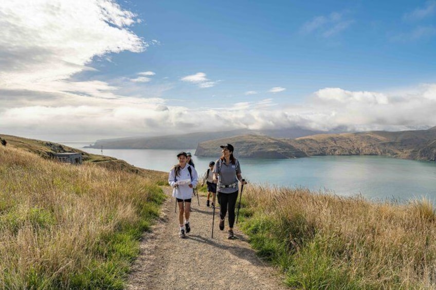 A hiking trail with a lake and hills in the background. 1