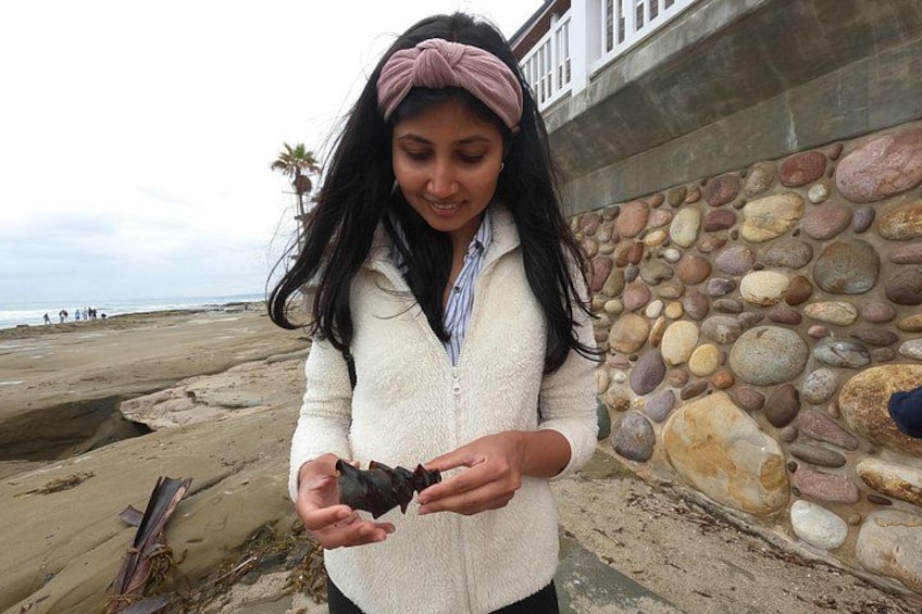 A person holding a black object, standing on a sandy beach with a stone wall and palm trees in the background. 5