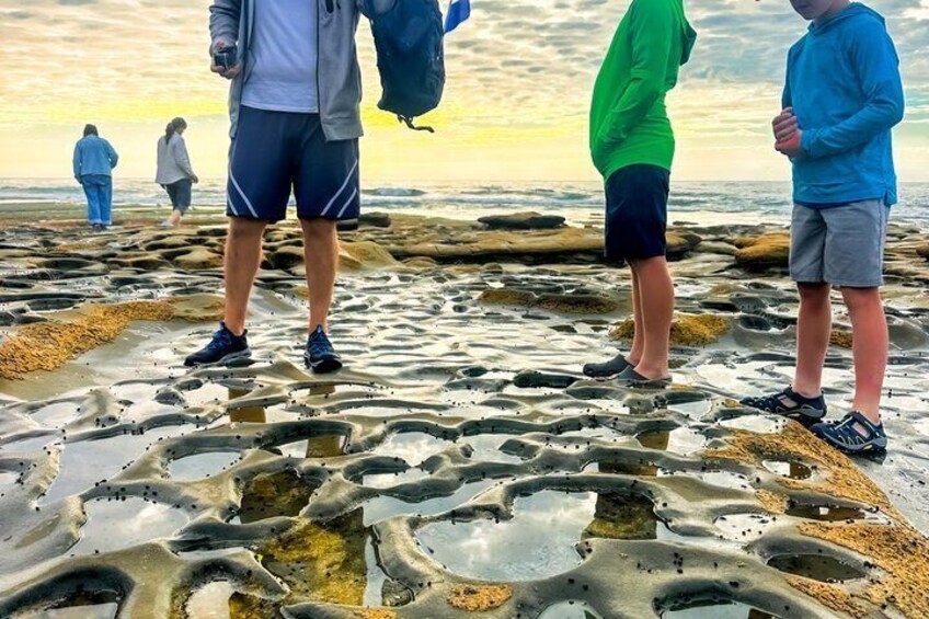 People standing on a rocky beach with tide pools. 2