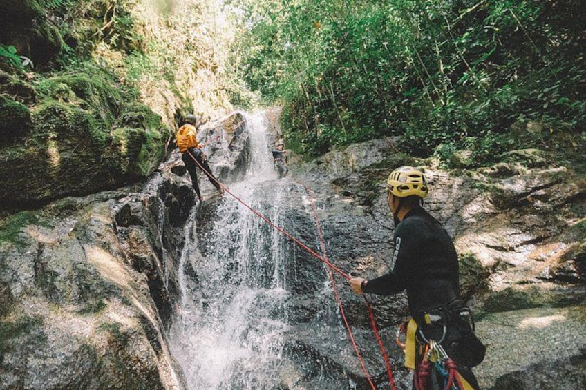 Two people rappelling down a waterfall in a forested area. 3