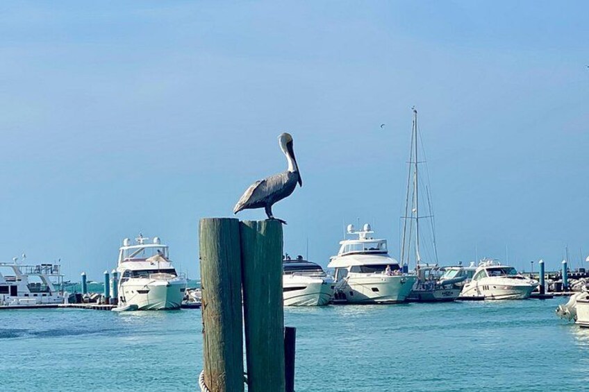 Ft. Lauderdale to Key West Day Trip Quality Day Tours 4