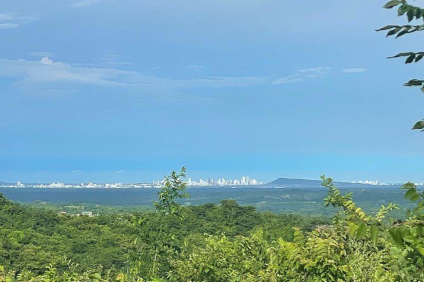 Une vue sur les gratte-ciel d’une ville, avec de la végétation au premier plan. 2