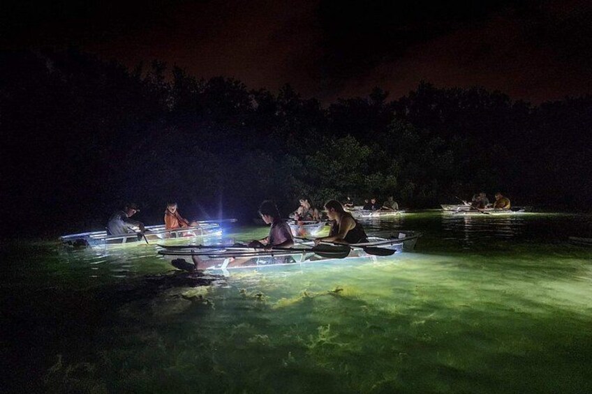 Siesta Key, FL - Clear Kayak LED Night Glass Bottom Tour 2