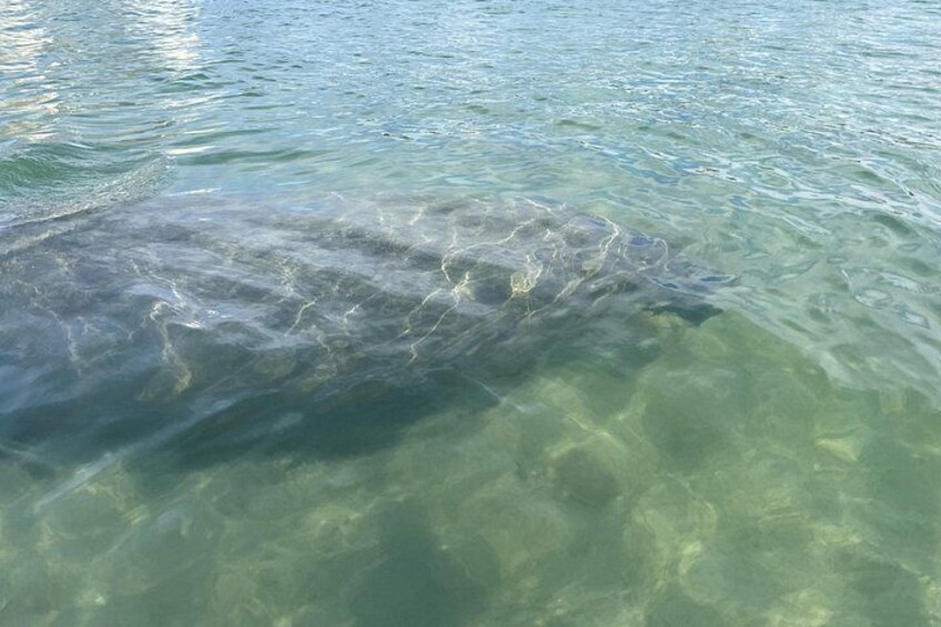 Clear water with a fish swimming. 2