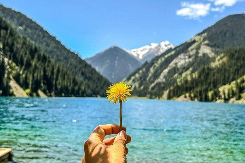 A hand holding a dandelion by a lake with mountains in the background. 1