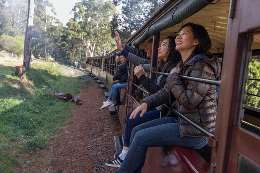 Brighton Bath Boxes & Puffing Billy & Penguin Parade 1-Day Tour 3