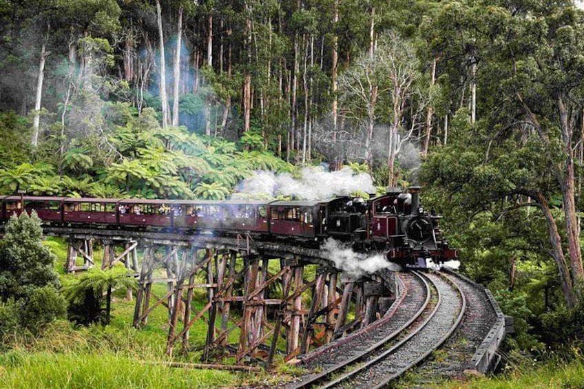Brighton Bath Boxes & Puffing Billy & Penguin Parade 1-Day Tour 2