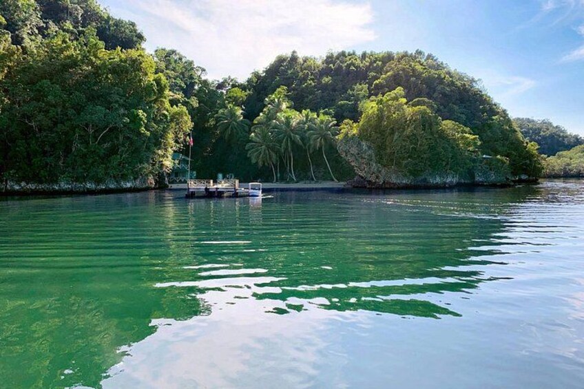 Punta Cana: Los Haitises Park, Montana, Rancho Salto Yanigua 5