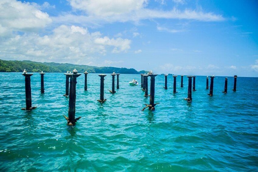 Punta Cana: Los Haitises Park, Montana, Rancho Salto Yanigua 4