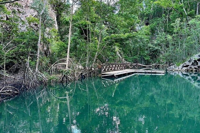 Punta Cana: Los Haitises Park, Montana, Rancho Salto Yanigua 4