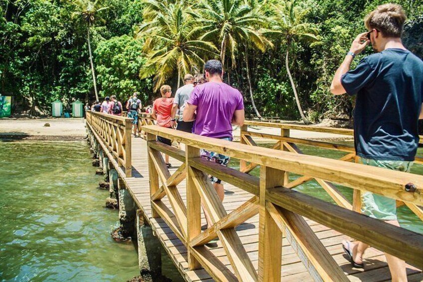 A wooden bridge over water with people walking on it, surrounded by palm trees. 2
