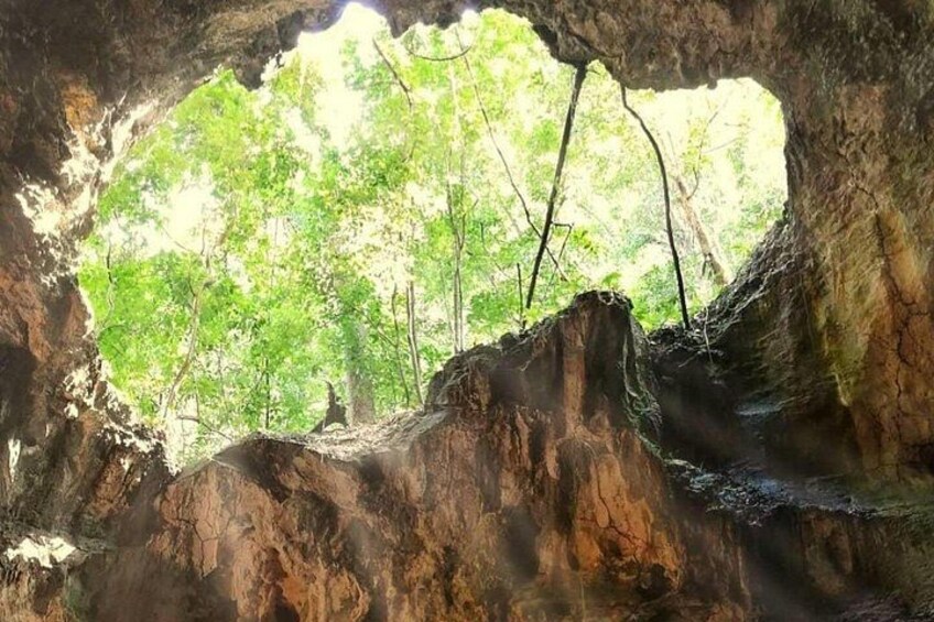 Punta Cana: Los Haitises Park, Montana, Rancho Salto Yanigua 5