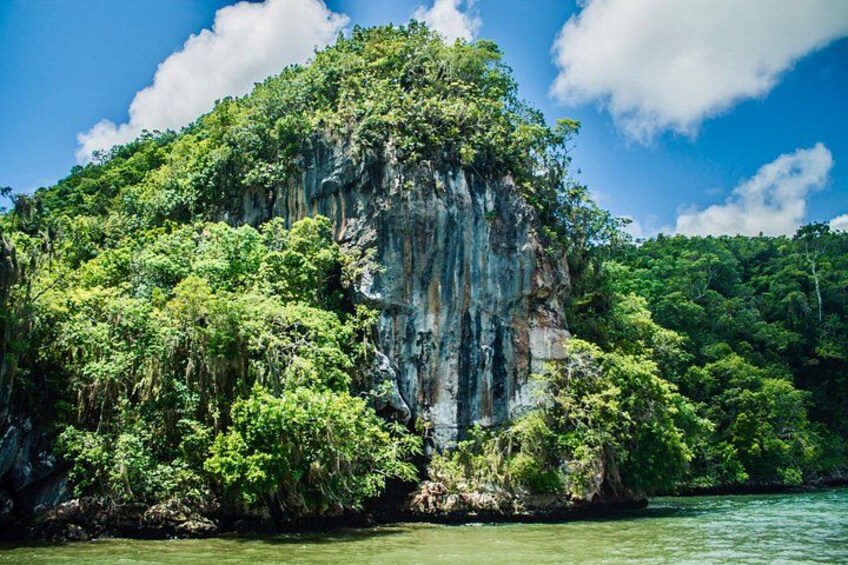 Punta Cana: Los Haitises Park, Montana, Rancho Salto Yanigua 1