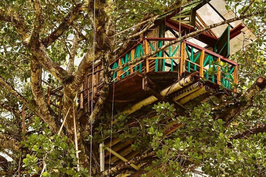 Punta Cana: Los Haitises Park, Montana, Rancho Salto Yanigua 3