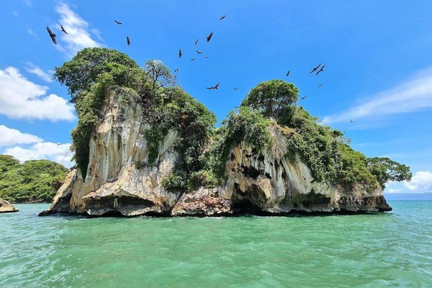 Punta Cana: Los Haitises Park, Montana, Rancho Salto Yanigua 4