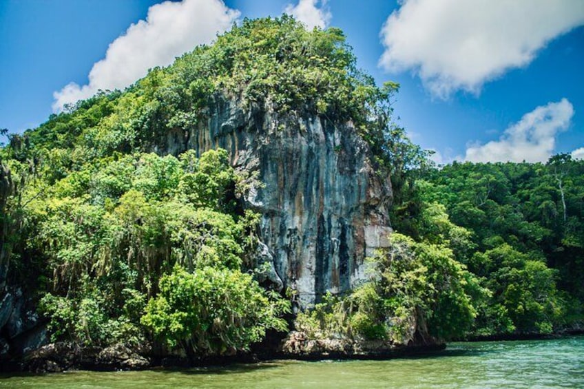 A large limestone cliff with dense green vegetation. 1