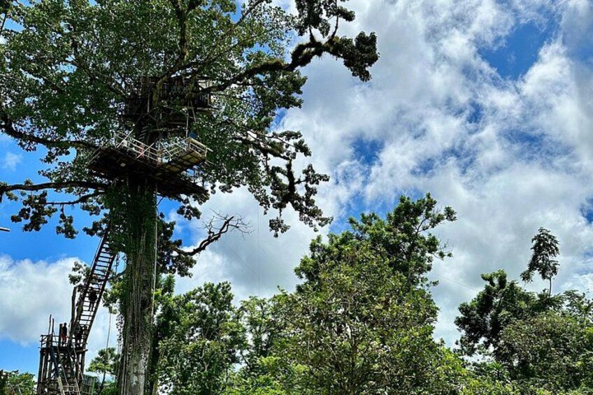Punta Cana: Los Haitises Park, Montana, Rancho Salto Yanigua 5