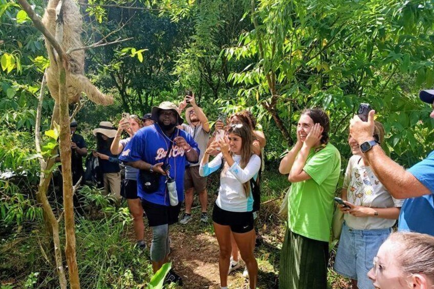 Rio Celeste, Sloth Watching & Waterfall Rainforest Experience 5
