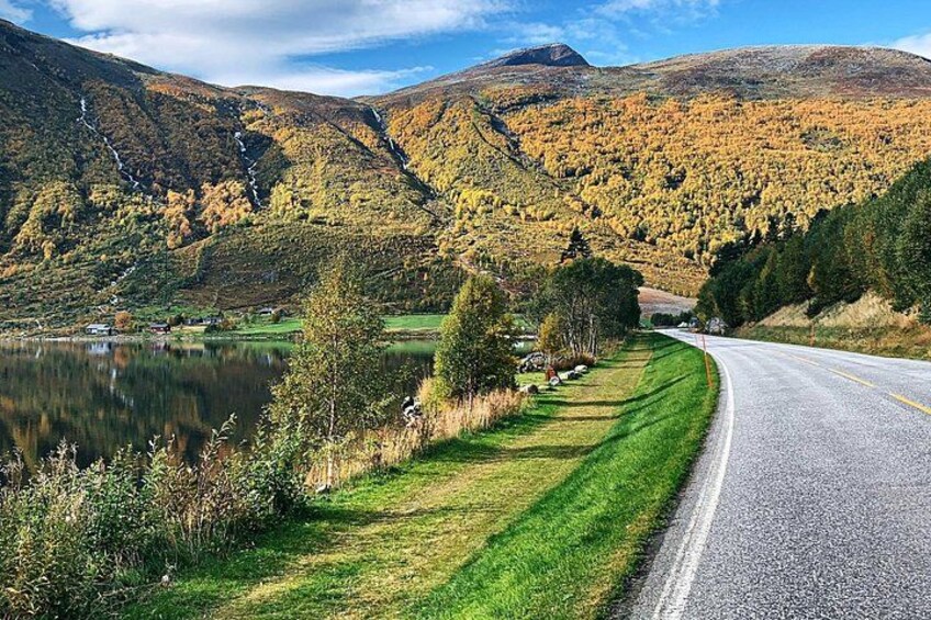 A winding road alongside a lake with autumn-colored trees and a mountain in the background. 3