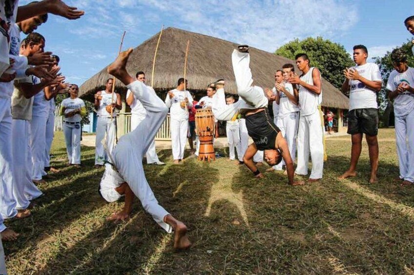 A martial arts demonstration with participants performing acrobatic moves in a grassy outdoor setting. 3