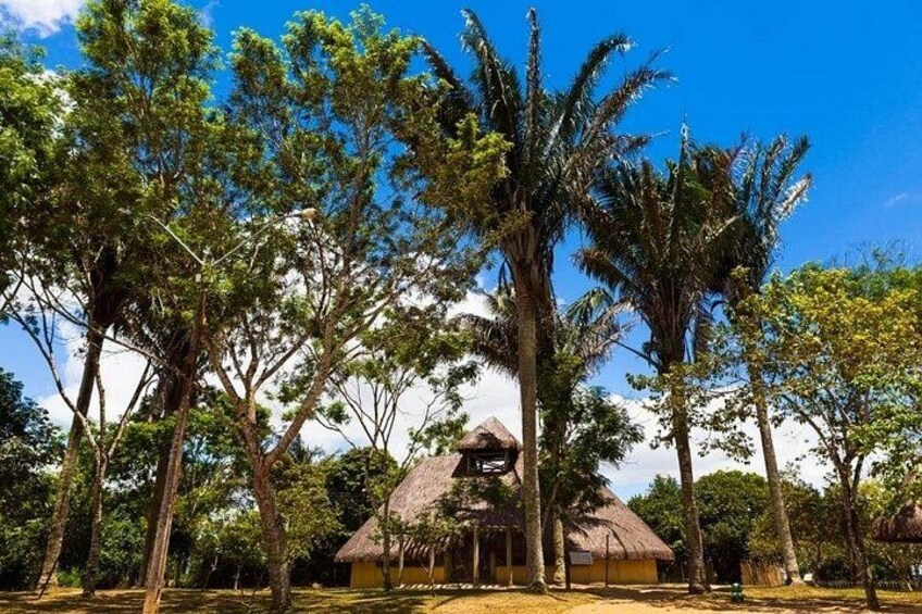 A thatched-roof hut surrounded by tall trees and a clear blue sky. 5