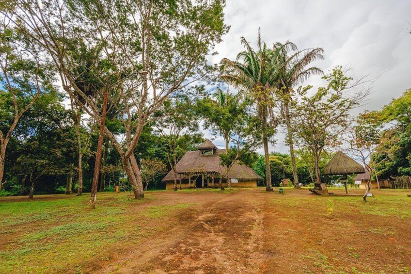 A rural setting with a dirt path leading to a thatched-roof house surrounded by trees. 2
