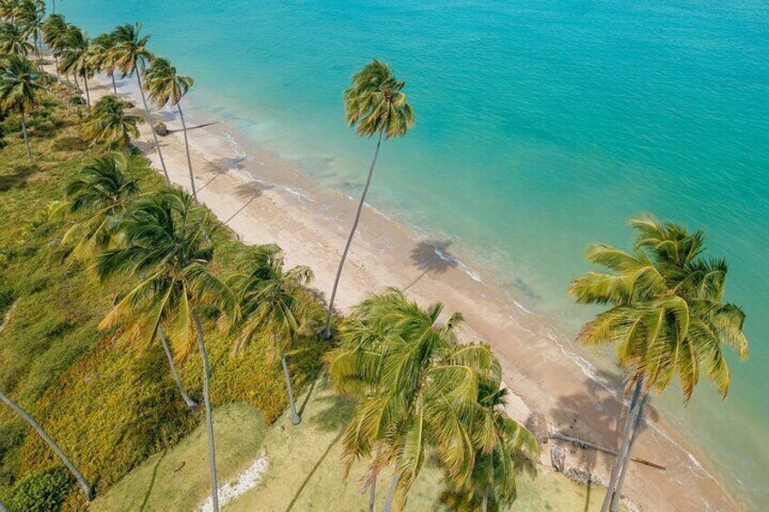 A beach with clear turquoise water, palm trees, and a sandy shore. 1