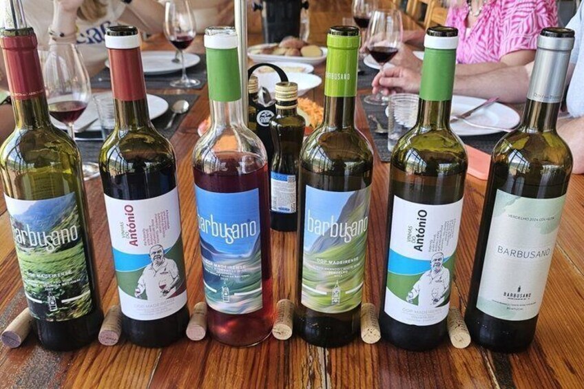 Visiting local Vineyard With Wine Tasting & Lunch included 3