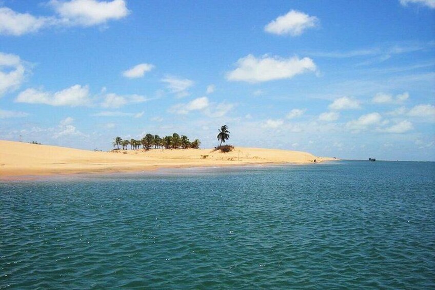 Una playa con aguas azul cristalino, dunas de arena y una palmera. 3