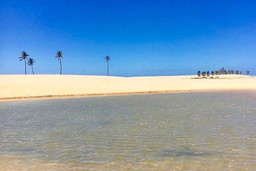 Una playa con aguas cristalinas, arena blanca y palmeras. 2