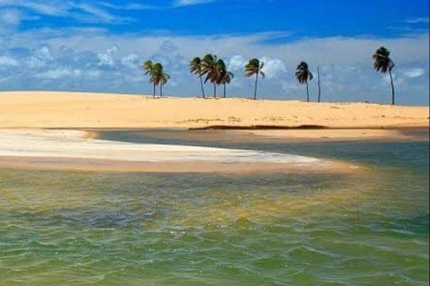 Foz do Rio São Francisco Tour. Environmental preservation and sea turtle nesting area. 2