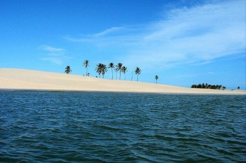 Una playa con arena blanca, agua tranquila y palmeras. 1
