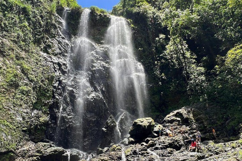 A waterfall cascading down a rocky cliff surrounded by lush greenery. 1
