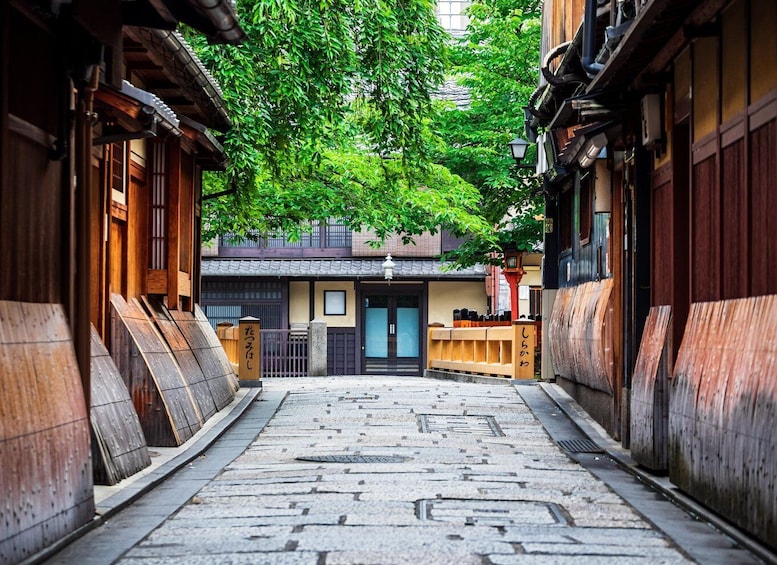 Picture 11 for Activity Kyoto: Meet the Geisha Maiko with Gion Walking Tour 5
