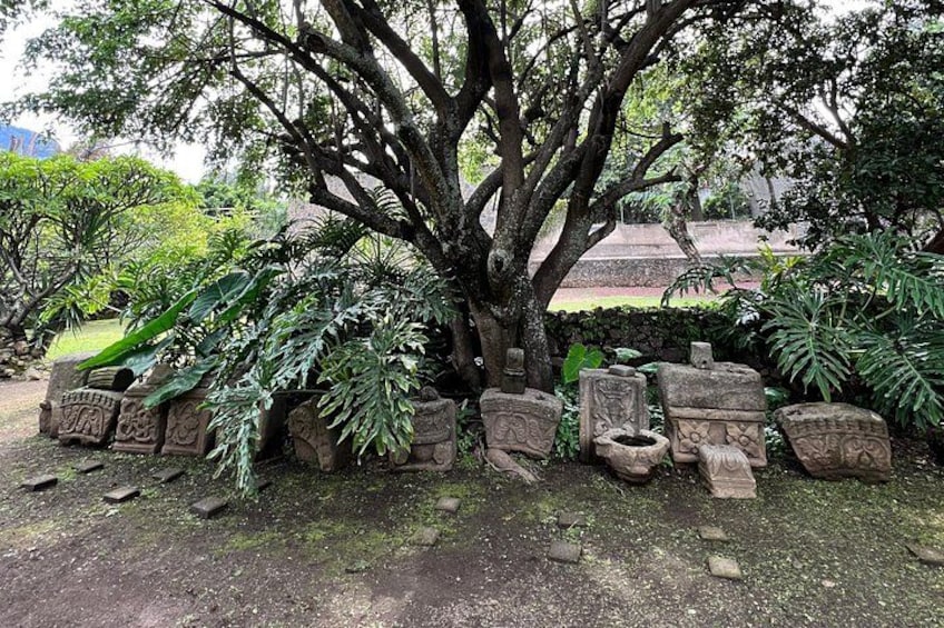 A large tree with carved stone urns around its base. 3
