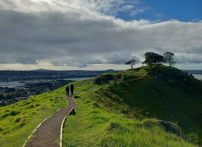 Picture 11 for Activity Auckland: Half-Day Auckland Volcanoes Tour 5