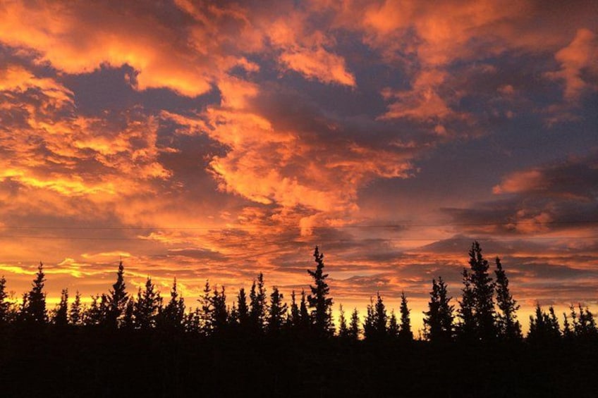 A forest silhouetted against a sunset sky. 3