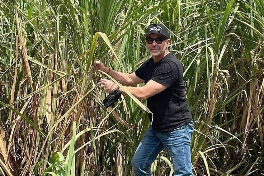 A person in a field of tall green plants, possibly a crop, holding a tool. 2