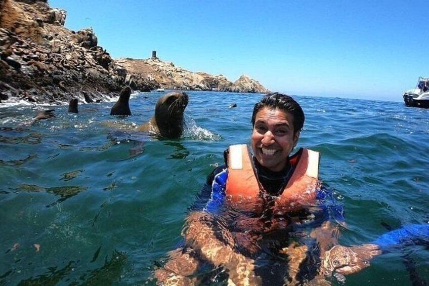 Palomino Island Swimming with Sea Lions from Lima 1