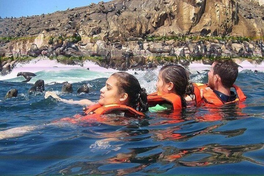 Swimming with Sea Lions in Islas Palomino Lima 4