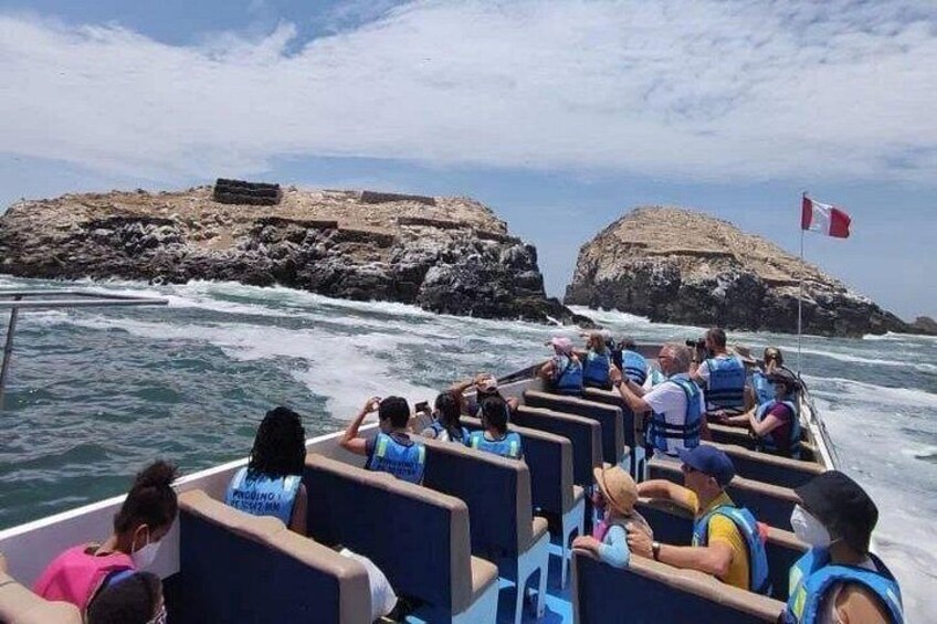 Swimming with Sea Lions in Islas Palomino Lima 2