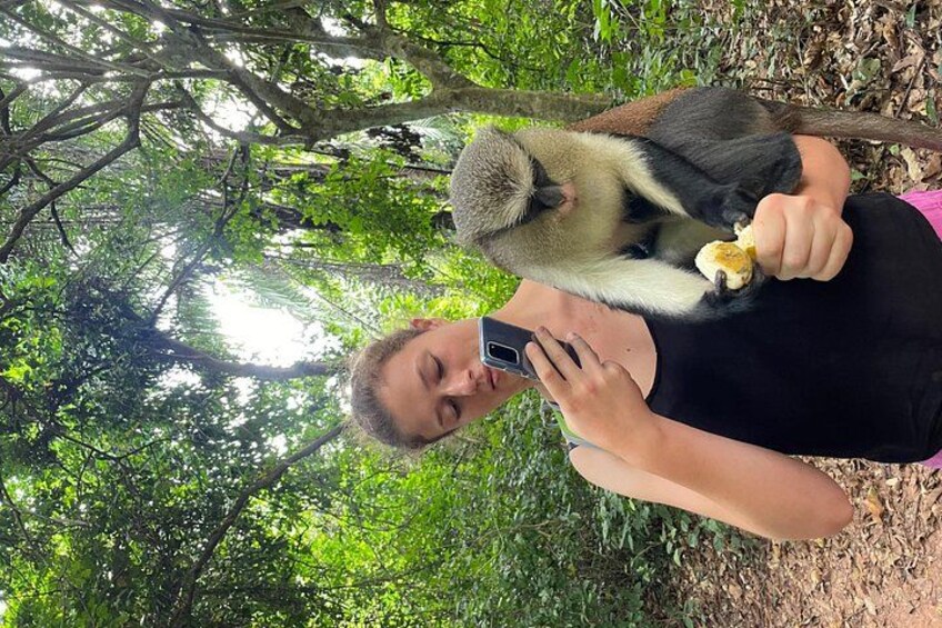 Tafi monkey sanctuary 2