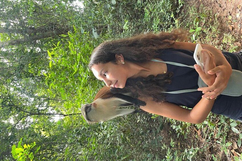 Tafi monkey sanctuary 5