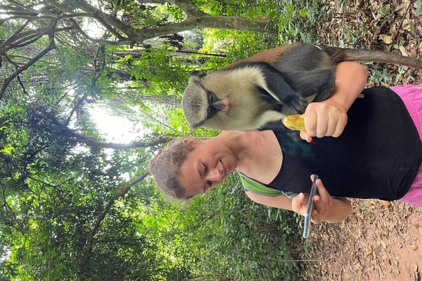 Tafi monkey sanctuary 3