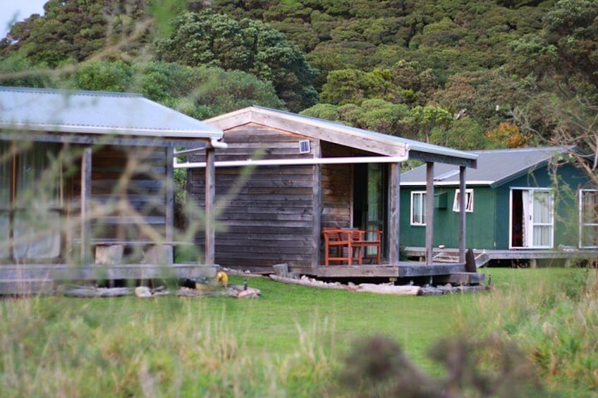 A row of wooden cabins with a grassy field and dense forest in the background. 2