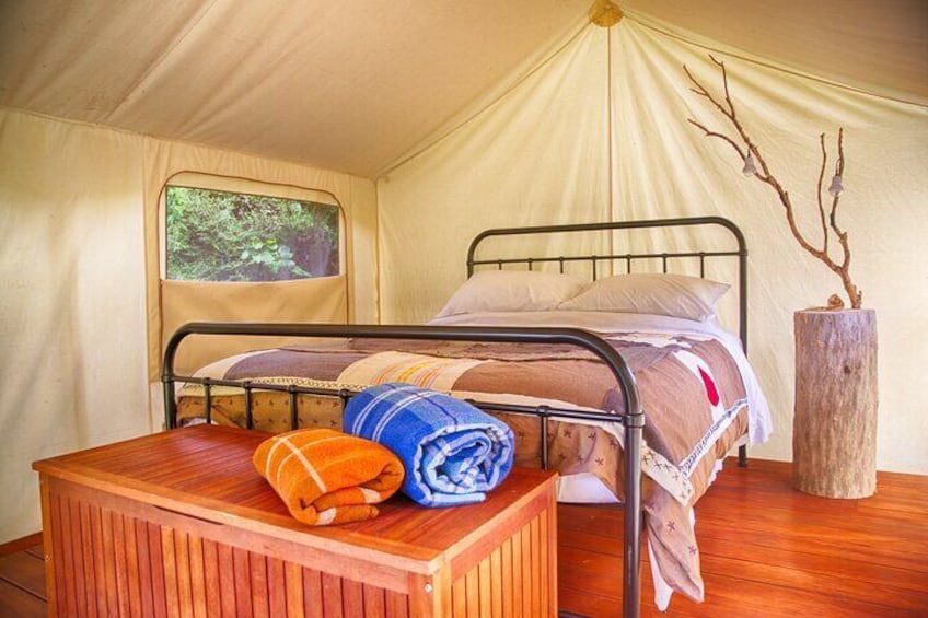 A tent with a bed, a wooden table, and a vase with branches. 2
