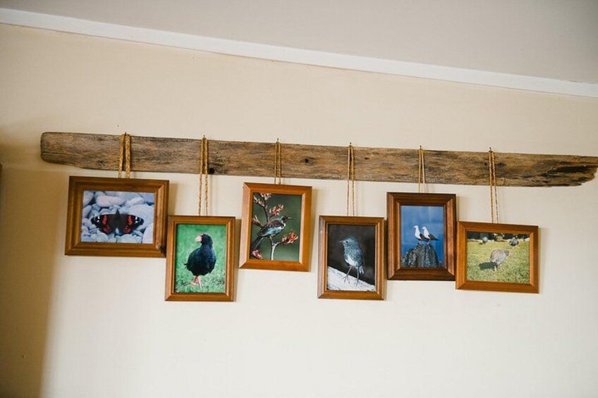 A wooden beam with five framed pictures of birds hanging from it. 3