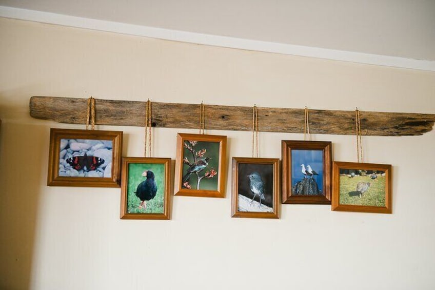 A wooden beam with five framed bird paintings hanging from it. 3